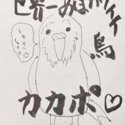 ヒメ日記 2025/05/17 21:30 投稿 さくら ナイスディ