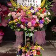 ヒメ日記 2025/06/15 14:33 投稿 さくら ナイスディ