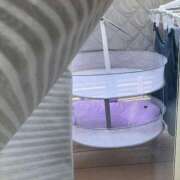 ヒメ日記 2025/08/28 07:39 投稿 さくら ナイスディ