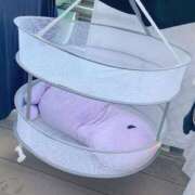 ヒメ日記 2025/10/17 19:57 投稿 さくら ナイスディ