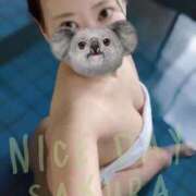 ヒメ日記 2025/11/09 07:03 投稿 さくら ナイスディ