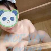 ヒメ日記 2025/11/10 14:01 投稿 さくら ナイスディ