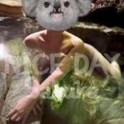 ヒメ日記 2025/11/12 08:30 投稿 さくら ナイスディ