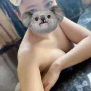 ヒメ日記 2025/11/22 07:02 投稿 さくら ナイスディ