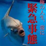 ヒメ日記 2025/11/30 12:31 投稿 さくら ナイスディ
