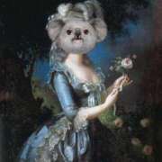 ヒメ日記 2025/12/11 12:46 投稿 さくら ナイスディ