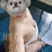 ヒメ日記 2026/01/07 15:01 投稿 さくら ナイスディ