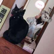 ヒメ日記 2026/02/21 07:02 投稿 さくら ナイスディ