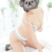 ヒメ日記 2026/04/05 08:31 投稿 さくら ナイスディ