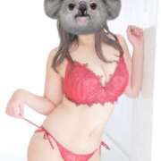 ヒメ日記 2026/04/09 19:28 投稿 さくら ナイスディ