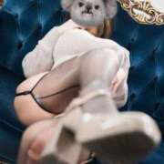 ヒメ日記 2026/04/12 08:02 投稿 さくら ナイスディ