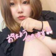 ヒメ日記 2024/12/20 13:55 投稿 なぎ 名古屋ちゃんこ