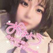 ヒメ日記 2025/02/24 10:27 投稿 なぎ 名古屋ちゃんこ