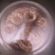 ヒメ日記 2025/02/27 19:17 投稿 なぎ 名古屋ちゃんこ