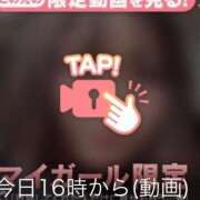 ヒメ日記 2025/03/08 14:37 投稿 なぎ 名古屋ちゃんこ