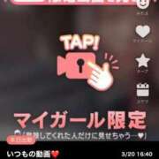 ヒメ日記 2025/03/20 17:27 投稿 なぎ 名古屋ちゃんこ