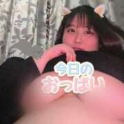 ヒメ日記 2025/03/21 01:25 投稿 なぎ 名古屋ちゃんこ