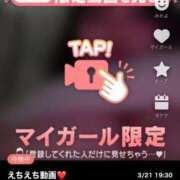 ヒメ日記 2025/03/21 19:47 投稿 なぎ 名古屋ちゃんこ