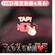 ヒメ日記 2025/03/23 01:57 投稿 なぎ 名古屋ちゃんこ