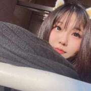 ヒメ日記 2025/03/23 02:12 投稿 なぎ 名古屋ちゃんこ