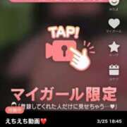 ヒメ日記 2025/03/25 19:37 投稿 なぎ 名古屋ちゃんこ