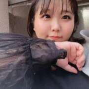 ヒメ日記 2025/03/26 15:57 投稿 なぎ 名古屋ちゃんこ