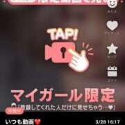 ヒメ日記 2025/03/28 16:57 投稿 なぎ 名古屋ちゃんこ