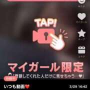 ヒメ日記 2025/03/29 17:00 投稿 なぎ 名古屋ちゃんこ