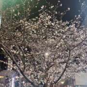 ヒメ日記 2025/03/30 03:00 投稿 なぎ 名古屋ちゃんこ