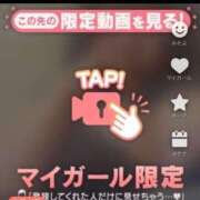 ヒメ日記 2025/04/02 15:07 投稿 なぎ 名古屋ちゃんこ