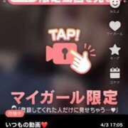 ヒメ日記 2025/04/03 17:25 投稿 なぎ 名古屋ちゃんこ