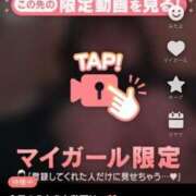 ヒメ日記 2025/04/03 23:59 投稿 なぎ 名古屋ちゃんこ