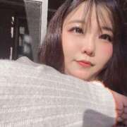 ヒメ日記 2025/04/07 11:32 投稿 なぎ 名古屋ちゃんこ