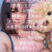 ヒメ日記 2025/04/07 11:35 投稿 なぎ 名古屋ちゃんこ