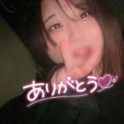 ヒメ日記 2025/04/07 15:30 投稿 なぎ 名古屋ちゃんこ