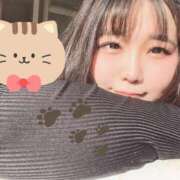 ヒメ日記 2025/04/15 10:51 投稿 なぎ 名古屋ちゃんこ