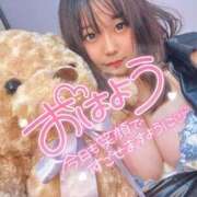 ヒメ日記 2025/04/16 10:57 投稿 なぎ 名古屋ちゃんこ