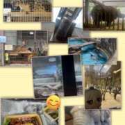 ヒメ日記 2025/04/16 15:03 投稿 なぎ 名古屋ちゃんこ