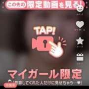 ヒメ日記 2025/04/16 16:37 投稿 なぎ 名古屋ちゃんこ