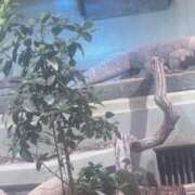 ヒメ日記 2025/04/16 16:57 投稿 なぎ 名古屋ちゃんこ