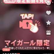 ヒメ日記 2025/04/18 02:17 投稿 なぎ 名古屋ちゃんこ