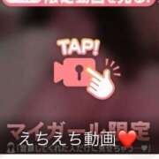 ヒメ日記 2025/04/19 01:17 投稿 なぎ 名古屋ちゃんこ