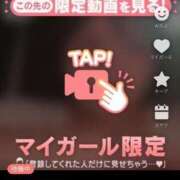 ヒメ日記 2025/04/19 21:51 投稿 なぎ 名古屋ちゃんこ