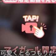 ヒメ日記 2025/04/29 17:17 投稿 なぎ 名古屋ちゃんこ