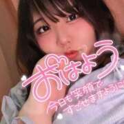 ヒメ日記 2025/05/14 10:27 投稿 なぎ 名古屋ちゃんこ