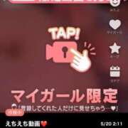 ヒメ日記 2025/05/20 02:17 投稿 なぎ 名古屋ちゃんこ