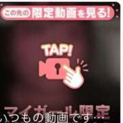 ヒメ日記 2025/05/24 20:21 投稿 なぎ 名古屋ちゃんこ