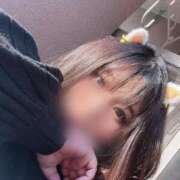 ヒメ日記 2025/05/29 04:27 投稿 なぎ 名古屋ちゃんこ