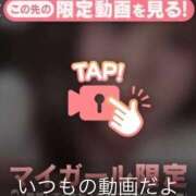 ヒメ日記 2025/05/30 17:07 投稿 なぎ 名古屋ちゃんこ