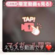 ヒメ日記 2025/06/13 22:07 投稿 なぎ 名古屋ちゃんこ